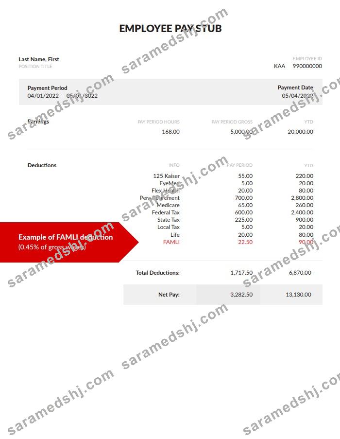 EMPLOYEE pay stub Word and PDF template, version 4